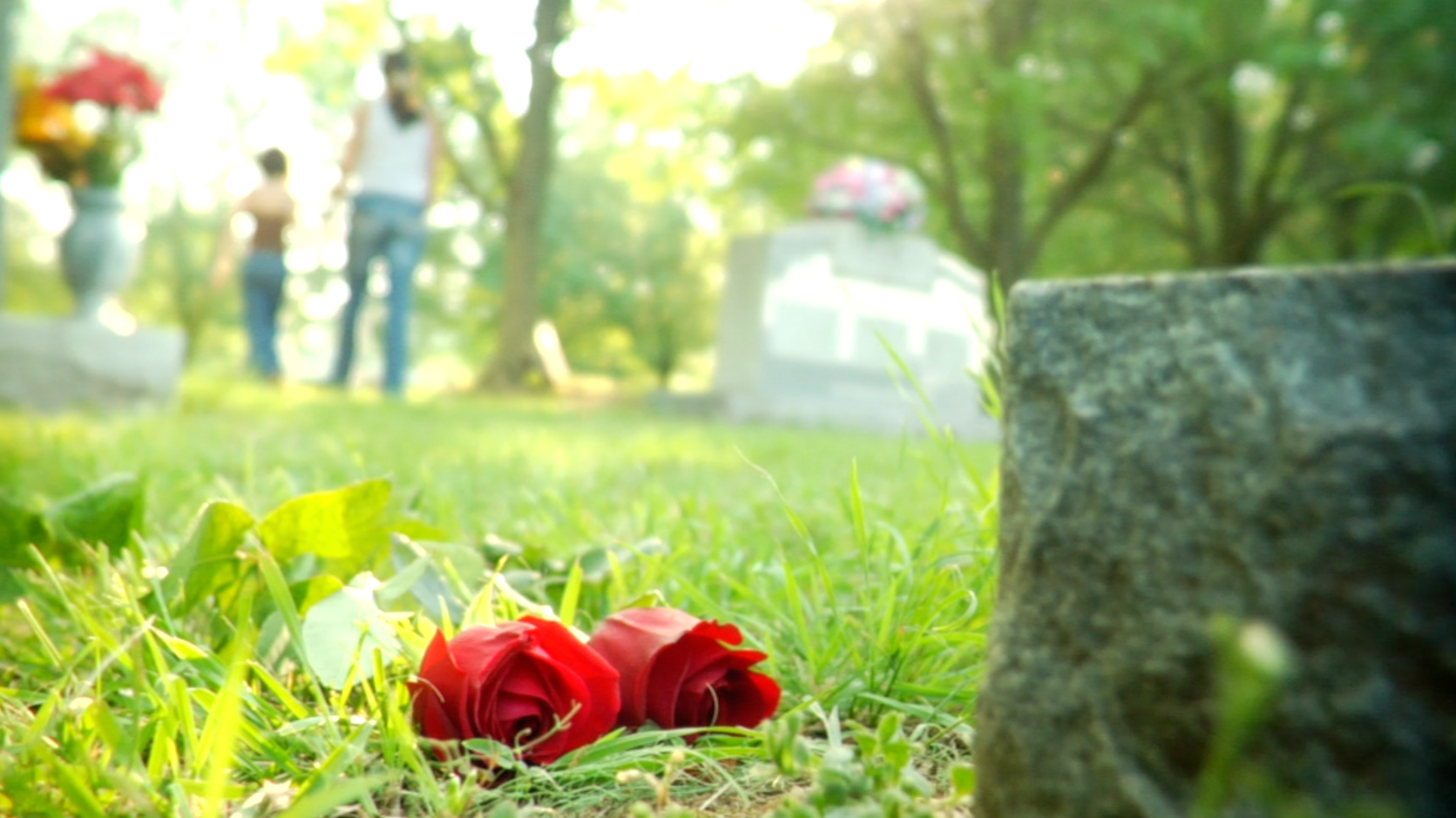 Red roses near gravestone